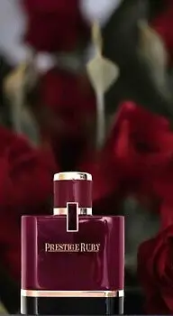 Capture d’écran 2025-10-26 à 4.17.59 PM.webp